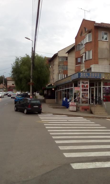 Appartamento Garsoniera Del Dodo Alba Iulia Esterno foto